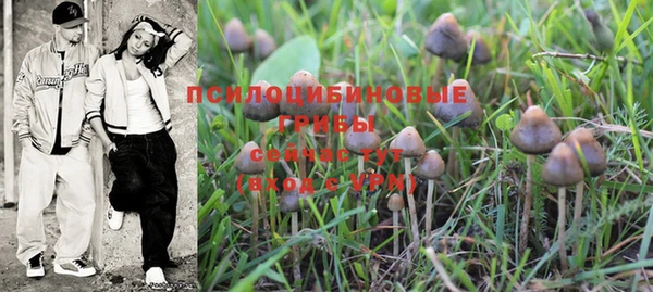 шишки Балахна