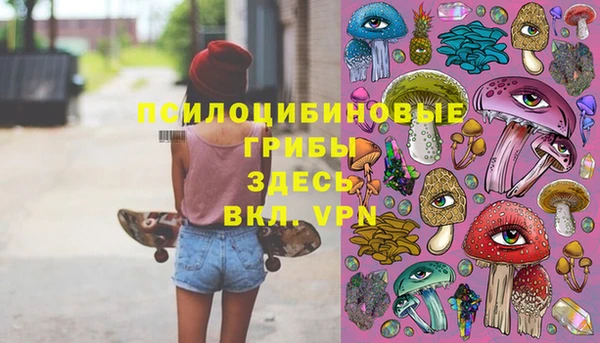 гидропоника Балабаново