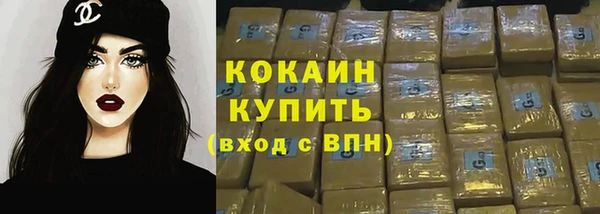 шишки Балахна