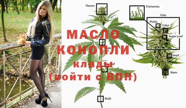 шишки Балахна