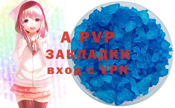 шишки Балахна
