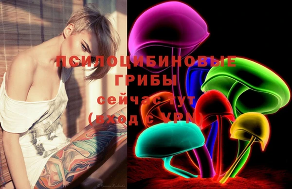 шишки Балахна