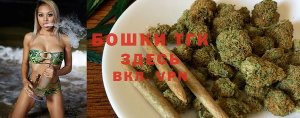 шишки Балахна
