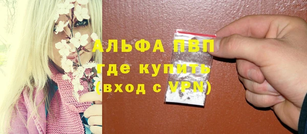 шишки Балахна