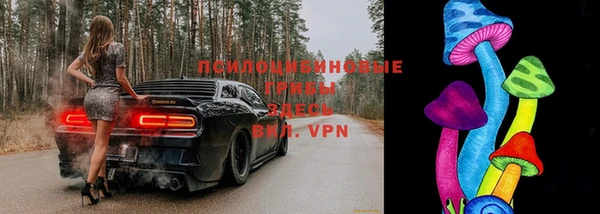 шишки Балахна