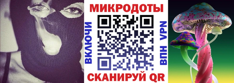 Псилоцибиновые грибы Psilocybe Кировск