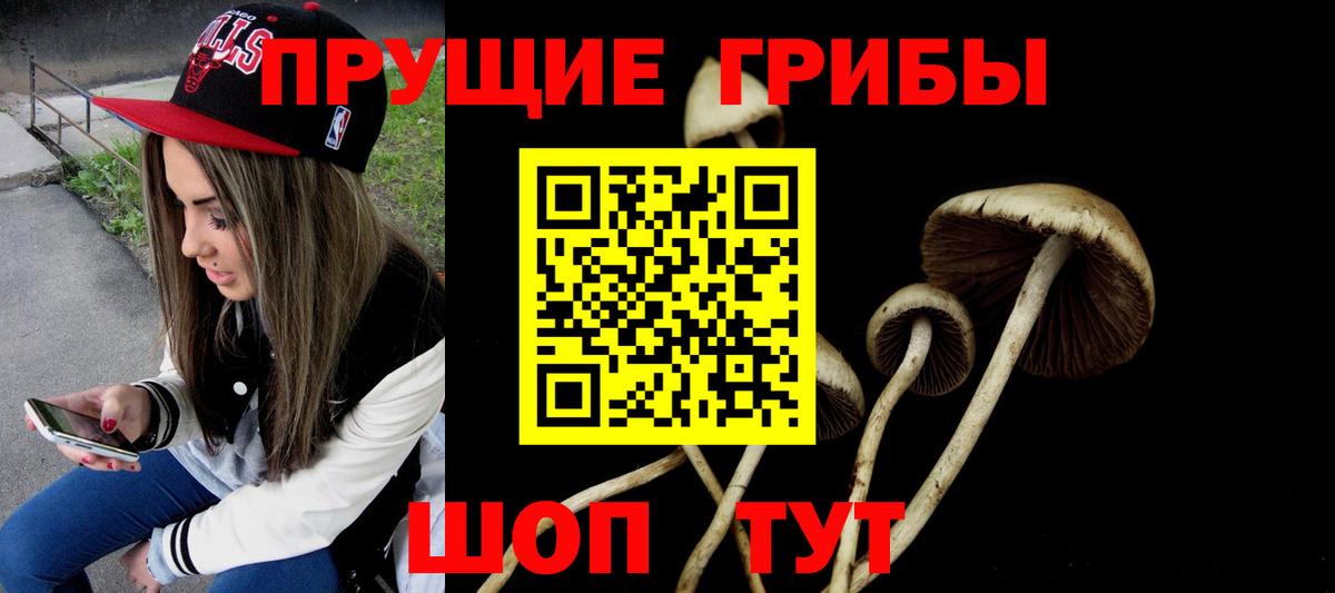 Кировск  Галлюциногенные грибы мицелий  Псилоцибиновые грибы GOLDEN TEACHER  Вход с VPN 