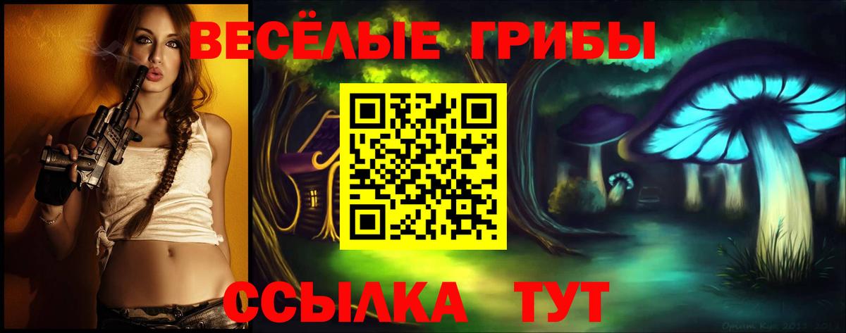 Псилоцибиновые грибы Cubensis Кировск